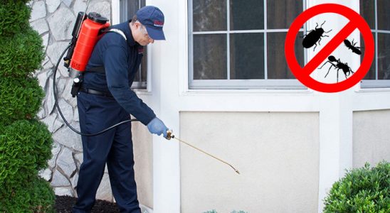 Tekman Bit İlaçlama böcek ilaçlama ve haşere kontrolü — ilaclama-tr.com